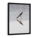 Monjita Americana - Manuel Jiménez | Cuadro decorativo de Canvas Lab