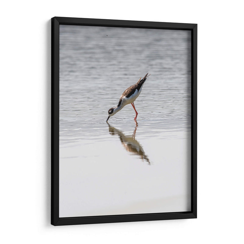 Monjita Americana - Manuel Jiménez | Cuadro decorativo de Canvas Lab