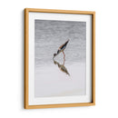 Monjita Americana - Manuel Jiménez | Cuadro decorativo de Canvas Lab