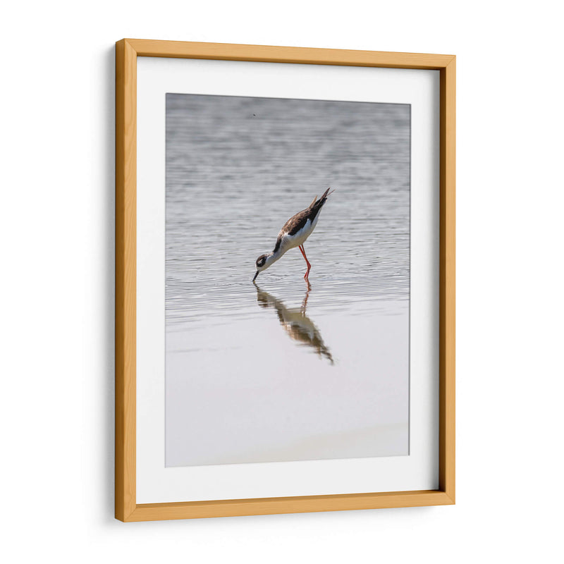 Monjita Americana - Manuel Jiménez | Cuadro decorativo de Canvas Lab