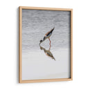 Monjita Americana - Manuel Jiménez | Cuadro decorativo de Canvas Lab