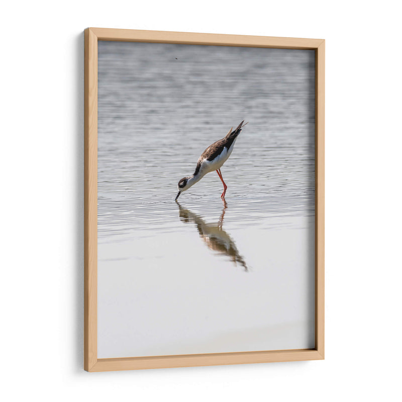 Monjita Americana - Manuel Jiménez | Cuadro decorativo de Canvas Lab