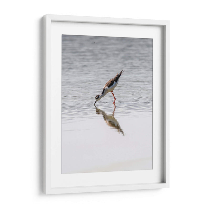 Monjita Americana - Manuel Jiménez | Cuadro decorativo de Canvas Lab