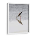 Monjita Americana - Manuel Jiménez | Cuadro decorativo de Canvas Lab