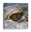 Ojo de lagarto - Manuel Jiménez | Cuadro decorativo de Canvas Lab