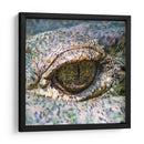 Ojo de lagarto - Manuel Jiménez | Cuadro decorativo de Canvas Lab
