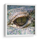 Ojo de lagarto - Manuel Jiménez | Cuadro decorativo de Canvas Lab
