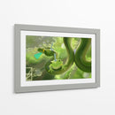 Amigos Anfibios  - Erz Blackwood | Cuadro decorativo de Canvas Lab