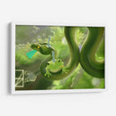 Amigos Anfibios  - Erz Blackwood | Cuadro decorativo de Canvas Lab