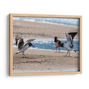 Ostreros Americanos - Manuel Jiménez | Cuadro decorativo de Canvas Lab