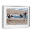 Ostreros Americanos - Manuel Jiménez | Cuadro decorativo de Canvas Lab