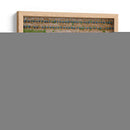 Paisaje agavero cenital - Manuel Jiménez | Cuadro decorativo de Canvas Lab