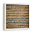 Paisaje agavero cenital - Manuel Jiménez | Cuadro decorativo de Canvas Lab