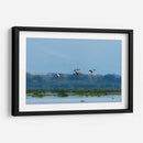 Pichihuilas - Manuel Jiménez | Cuadro decorativo de Canvas Lab