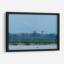 Pichihuilas - Manuel Jiménez | Cuadro decorativo de Canvas Lab