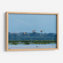 Pichihuilas - Manuel Jiménez | Cuadro decorativo de Canvas Lab