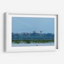 Pichihuilas - Manuel Jiménez | Cuadro decorativo de Canvas Lab