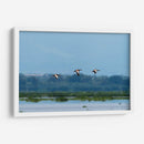 Pichihuilas - Manuel Jiménez | Cuadro decorativo de Canvas Lab