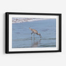 Playero pihuihuí - Manuel Jiménez | Cuadro decorativo de Canvas Lab