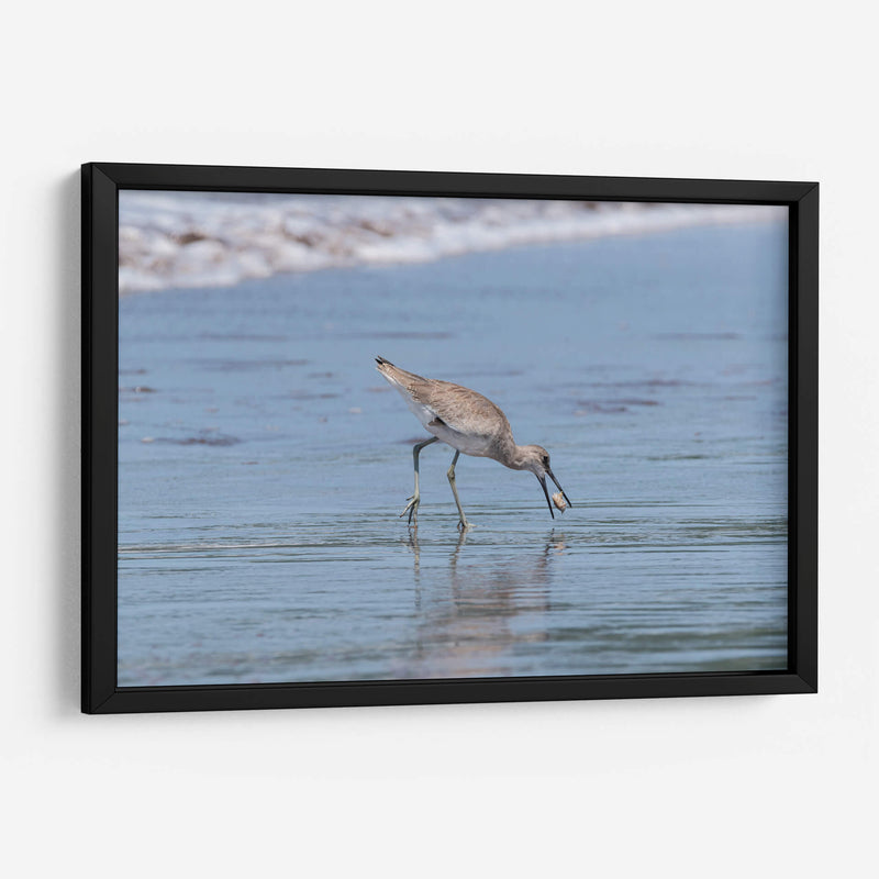 Playero pihuihuí - Manuel Jiménez | Cuadro decorativo de Canvas Lab