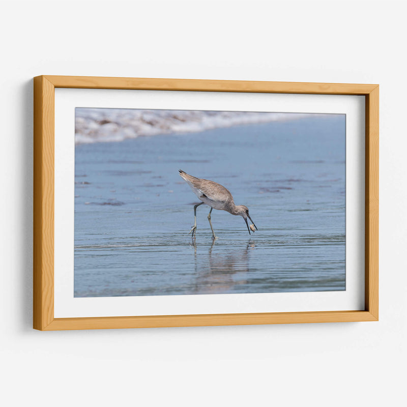 Playero pihuihuí - Manuel Jiménez | Cuadro decorativo de Canvas Lab