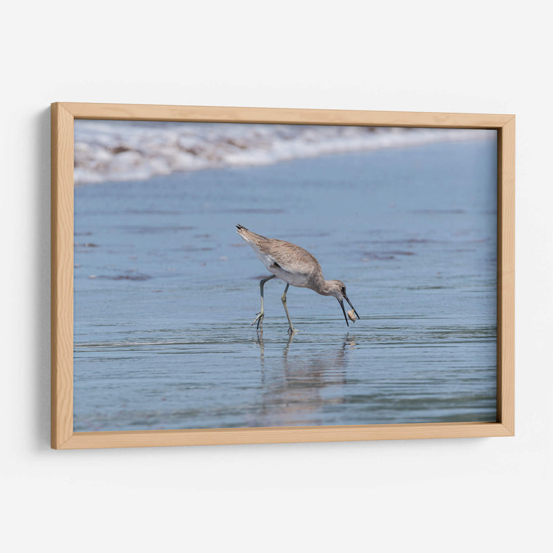 Playero pihuihuí - Manuel Jiménez | Cuadro decorativo de Canvas Lab