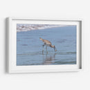 Playero pihuihuí - Manuel Jiménez | Cuadro decorativo de Canvas Lab