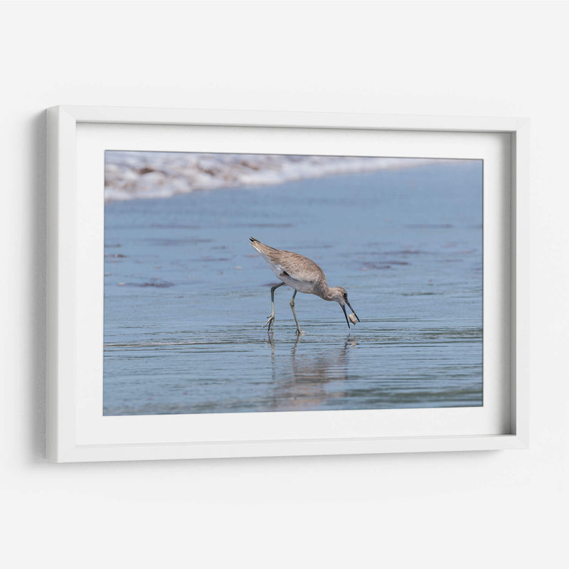 Playero pihuihuí - Manuel Jiménez | Cuadro decorativo de Canvas Lab