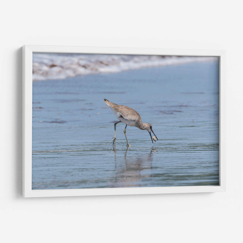 Playero pihuihuí - Manuel Jiménez | Cuadro decorativo de Canvas Lab