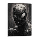 Spiderman - Jann Kant | Cuadro decorativo de Canvas Lab