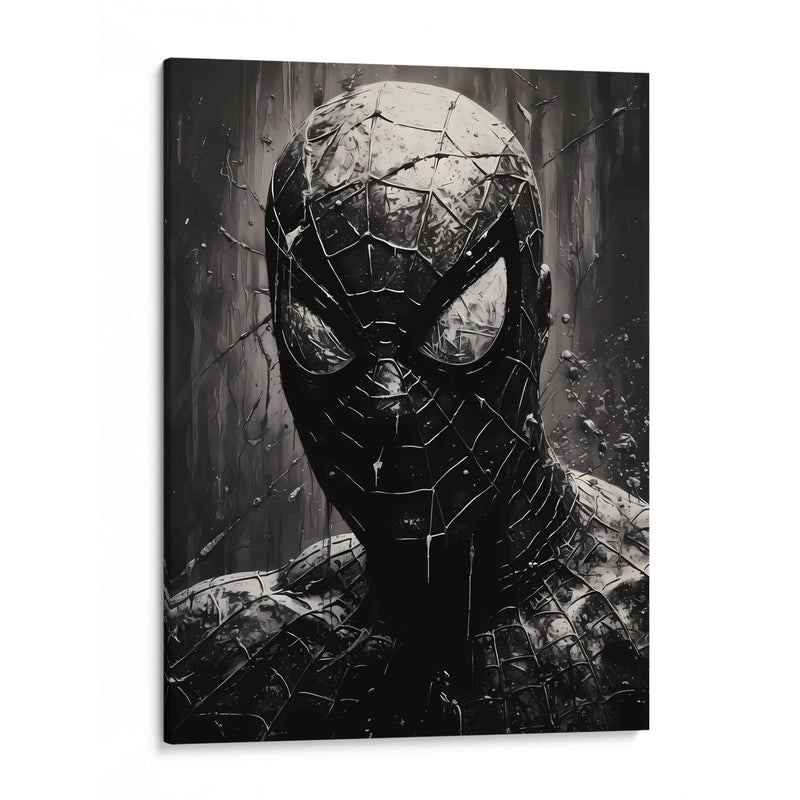Spiderman - Jann Kant | Cuadro decorativo de Canvas Lab
