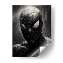 Spiderman - Jann Kant | Cuadro decorativo de Canvas Lab
