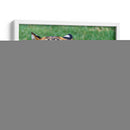 Tigre de bengala - Manuel Jiménez | Cuadro decorativo de Canvas Lab