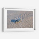 Tortuga golfina - Manuel Jiménez | Cuadro decorativo de Canvas Lab