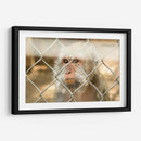 ATRAPADO - MICHEL ARCIGA LIFESTYLE PHOTOGRAPHY | Cuadro decorativo de Canvas Lab