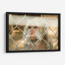 ATRAPADO - MICHEL ARCIGA LIFESTYLE PHOTOGRAPHY | Cuadro decorativo de Canvas Lab