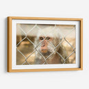 ATRAPADO - MICHEL ARCIGA LIFESTYLE PHOTOGRAPHY | Cuadro decorativo de Canvas Lab