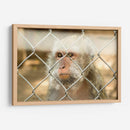 ATRAPADO - MICHEL ARCIGA LIFESTYLE PHOTOGRAPHY | Cuadro decorativo de Canvas Lab