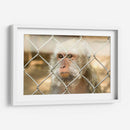 ATRAPADO - MICHEL ARCIGA LIFESTYLE PHOTOGRAPHY | Cuadro decorativo de Canvas Lab