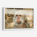 ATRAPADO - MICHEL ARCIGA LIFESTYLE PHOTOGRAPHY | Cuadro decorativo de Canvas Lab