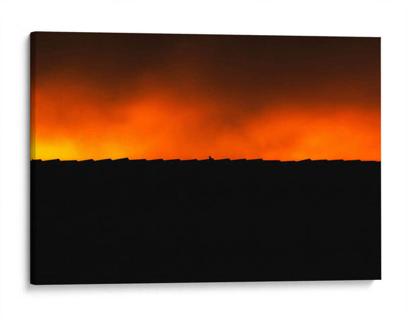 BIRDY - MICHEL ARCIGA LIFESTYLE PHOTOGRAPHY | Cuadro decorativo de Canvas Lab