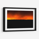 BIRDY - MICHEL ARCIGA LIFESTYLE PHOTOGRAPHY | Cuadro decorativo de Canvas Lab