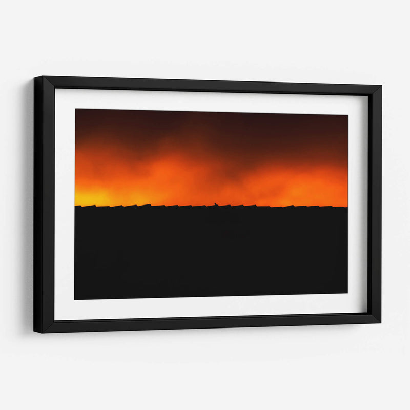 BIRDY - MICHEL ARCIGA LIFESTYLE PHOTOGRAPHY | Cuadro decorativo de Canvas Lab