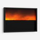 BIRDY - MICHEL ARCIGA LIFESTYLE PHOTOGRAPHY | Cuadro decorativo de Canvas Lab