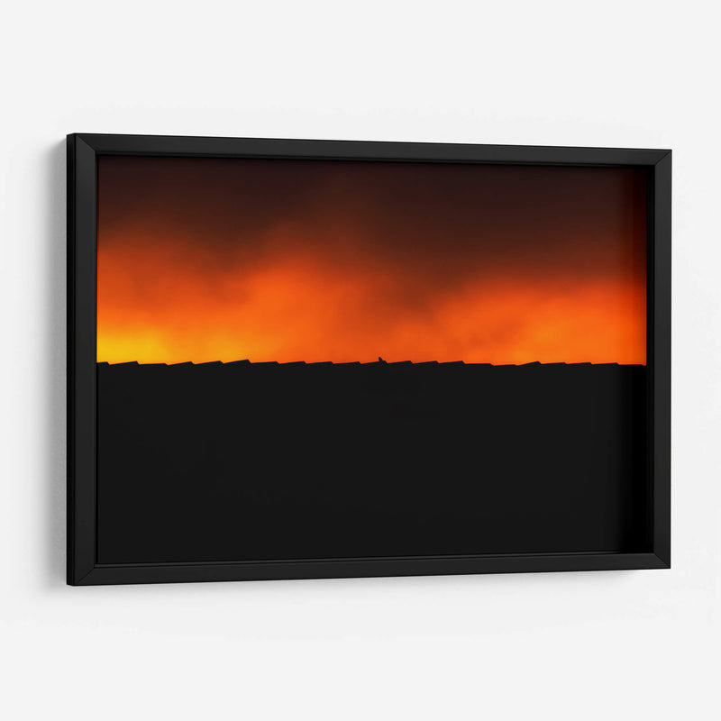 BIRDY - MICHEL ARCIGA LIFESTYLE PHOTOGRAPHY | Cuadro decorativo de Canvas Lab