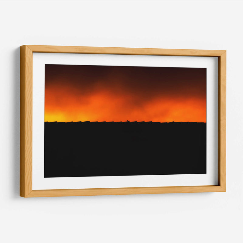 BIRDY - MICHEL ARCIGA LIFESTYLE PHOTOGRAPHY | Cuadro decorativo de Canvas Lab