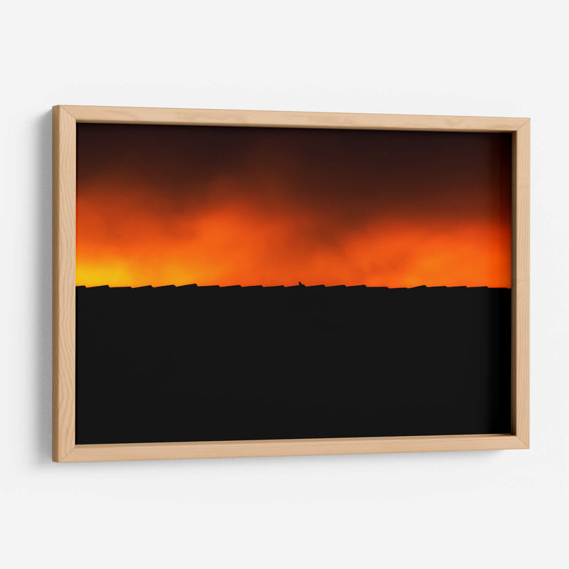 BIRDY - MICHEL ARCIGA LIFESTYLE PHOTOGRAPHY | Cuadro decorativo de Canvas Lab