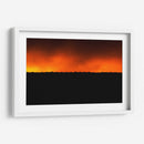 BIRDY - MICHEL ARCIGA LIFESTYLE PHOTOGRAPHY | Cuadro decorativo de Canvas Lab