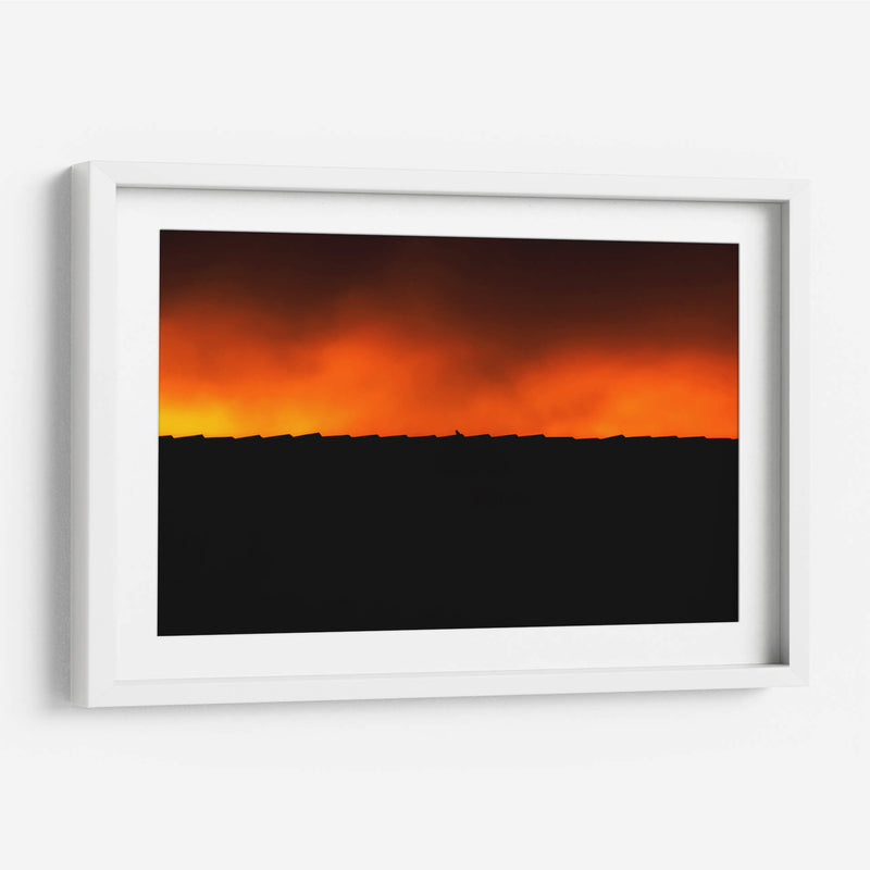 BIRDY - MICHEL ARCIGA LIFESTYLE PHOTOGRAPHY | Cuadro decorativo de Canvas Lab