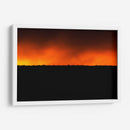 BIRDY - MICHEL ARCIGA LIFESTYLE PHOTOGRAPHY | Cuadro decorativo de Canvas Lab